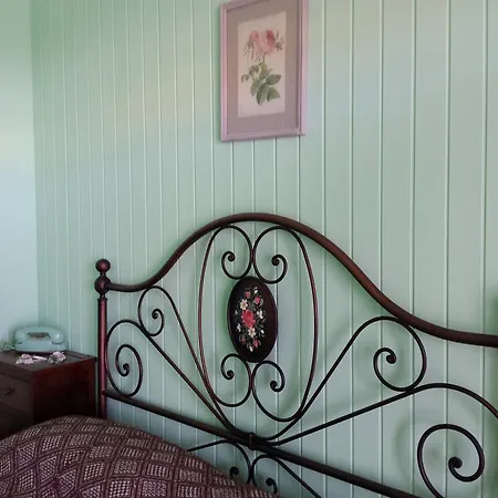 Bed And Flowers